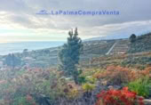 Casa de pueblo en venta en Los Llanos de Aridane ref: TR233363 foto