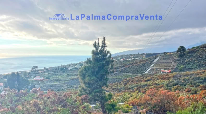 Santa Cruz de Tenerife - Los Llanos de Aridane - 16624m2