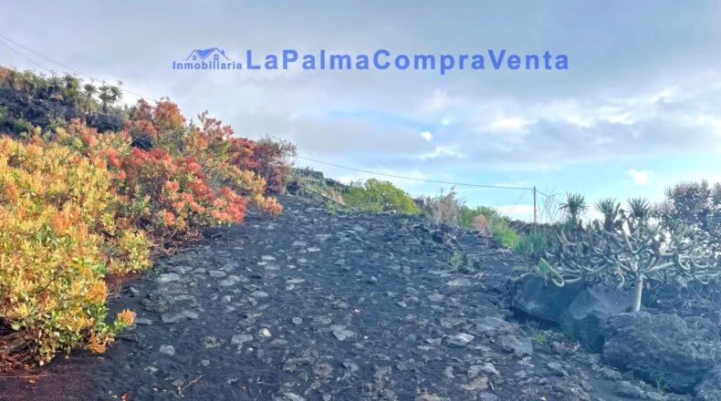 Santa Cruz de Tenerife - Los Llanos de Aridane - 16624m2