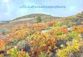 Casa de pueblo en venta en Los Llanos de Aridane ref: TR233363 foto