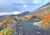 Casa de pueblo en venta en Los Llanos de Aridane ref: TR233363 foto