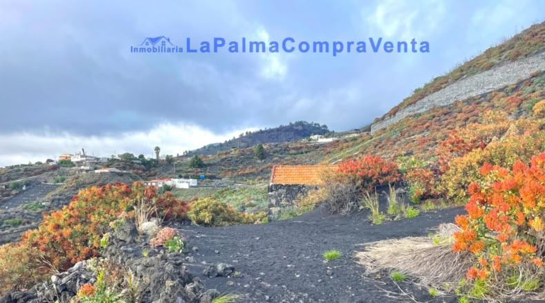 Santa Cruz de Tenerife - Los Llanos de Aridane - 16624m2