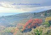 Casa de pueblo en venta en Los Llanos de Aridane ref: TR233363 foto