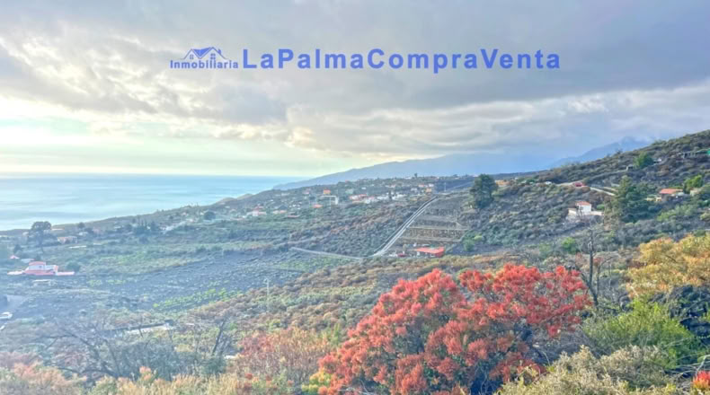 Santa Cruz de Tenerife - Los Llanos de Aridane - 16624m2