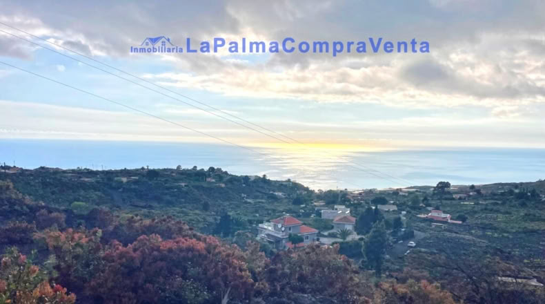 Santa Cruz de Tenerife - Los Llanos de Aridane - 16624m2
