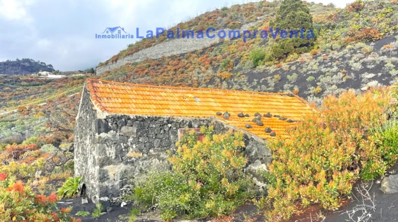 Santa Cruz de Tenerife - Los Llanos de Aridane - 16624m2