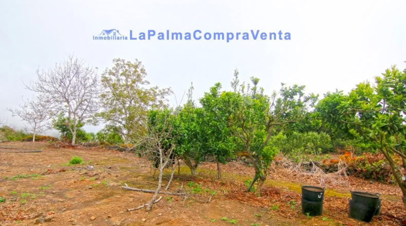 Santa Cruz de Tenerife - San Pedro de Breña Alta - 4263m2