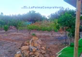 Terreny no urbanitzable en venda a San Pedro de Breña Alta ref.: TR234473 foto