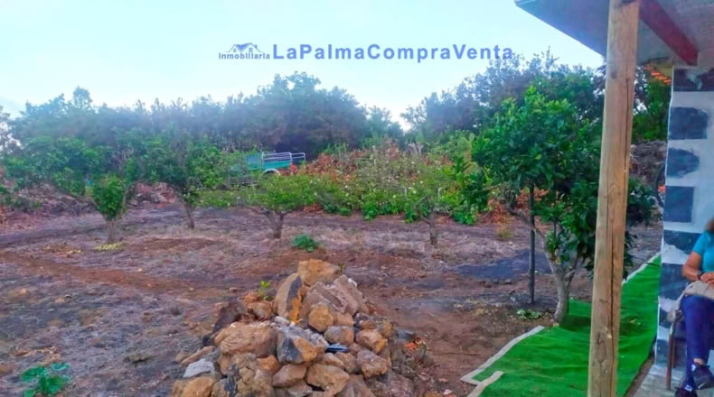 Santa Cruz de Tenerife - San Pedro de Breña Alta - 4263m2