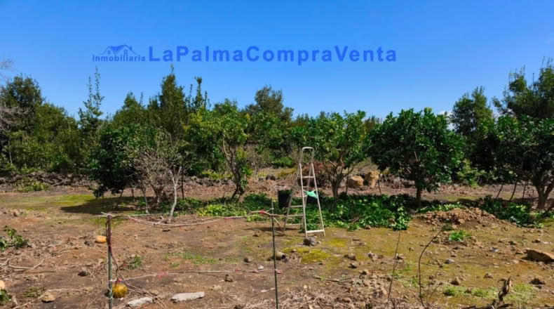 Santa Cruz de Tenerife - San Pedro de Breña Alta - 4263m2