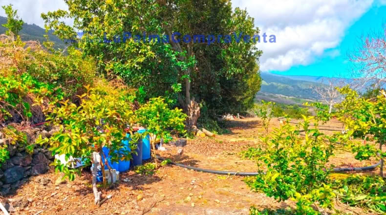 Santa Cruz de Tenerife - San Pedro de Breña Alta - 4263m2