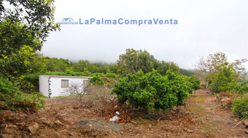 Santa Cruz de Tenerife - San Pedro de Breña Alta - 4263m2