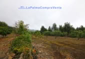 Terreny no urbanitzable en venda a San Pedro de Breña Alta ref.: TR234473 foto