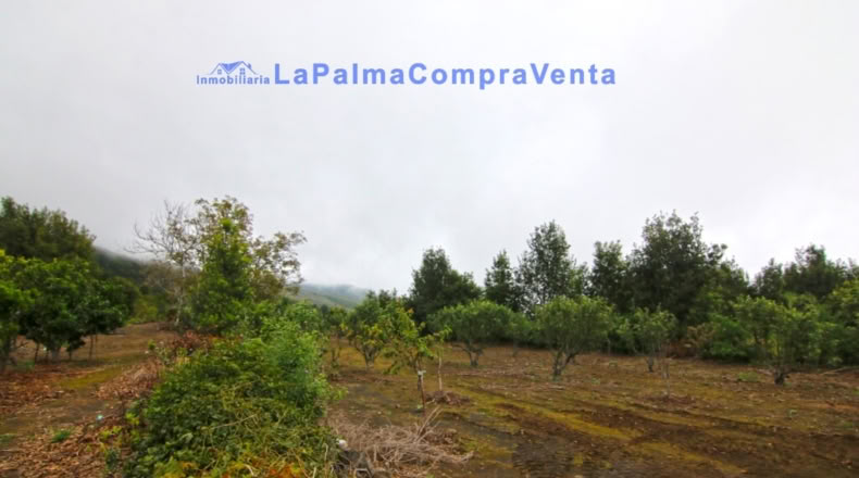 Santa Cruz de Tenerife - San Pedro de Breña Alta - 4263m2