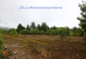 Terreny no urbanitzable en venda a San Pedro de Breña Alta ref.: TR234473 foto