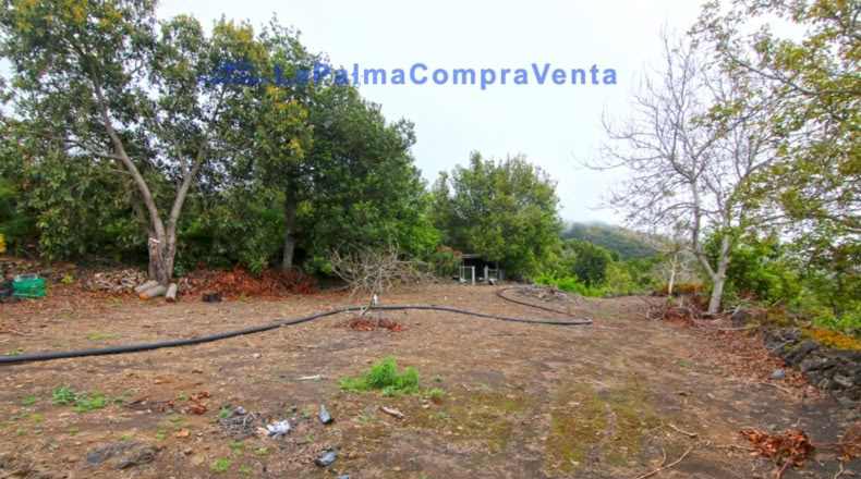 Santa Cruz de Tenerife - San Pedro de Breña Alta - 4263m2