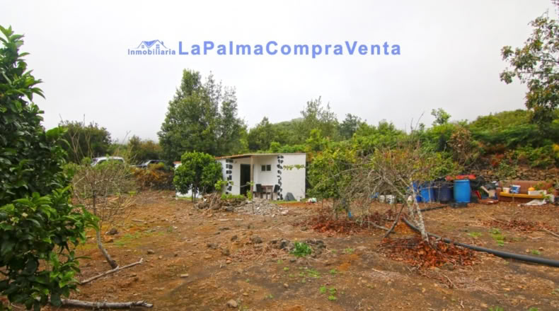 Santa Cruz de Tenerife - San Pedro de Breña Alta - 4263m2