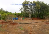 Terreny no urbanitzable en venda a San Pedro de Breña Alta ref.: TR234473 foto