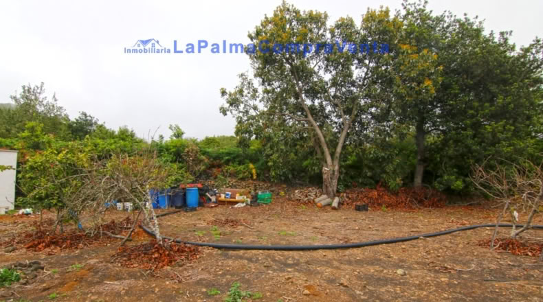 Santa Cruz de Tenerife - San Pedro de Breña Alta - 4263m2