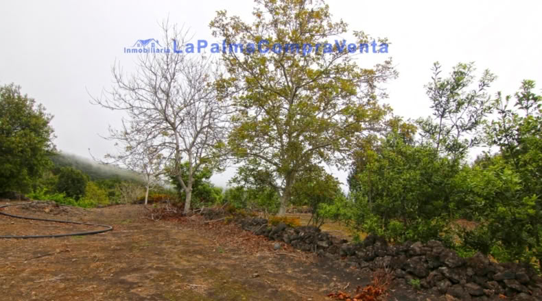 Santa Cruz de Tenerife - San Pedro de Breña Alta - 4263m2