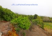 Terreny no urbanitzable en venda a San Pedro de Breña Alta ref.: TR234473 foto