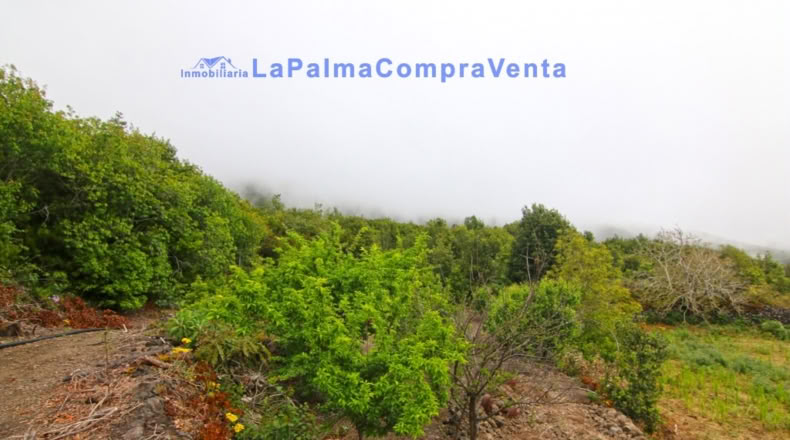 Santa Cruz de Tenerife - San Pedro de Breña Alta - 4263m2