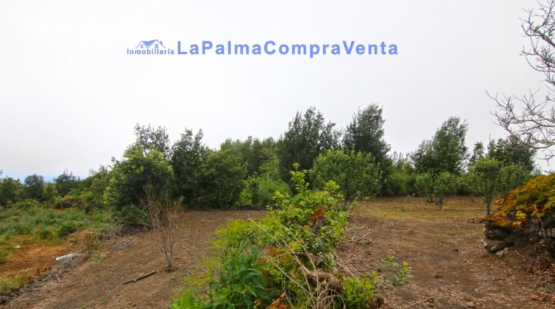 Santa Cruz de Tenerife - San Pedro de Breña Alta - 4263m2