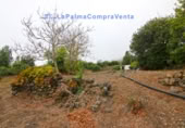 Terreny no urbanitzable en venda a San Pedro de Breña Alta ref.: TR234473 foto