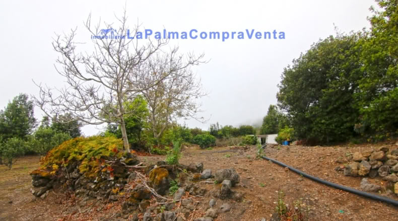 Santa Cruz de Tenerife - San Pedro de Breña Alta - 4263m2