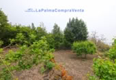Terreny no urbanitzable en venda a San Pedro de Breña Alta ref.: TR234473 foto