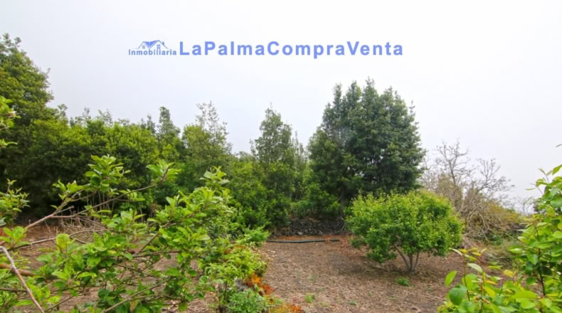 Santa Cruz de Tenerife - San Pedro de Breña Alta - 4263m2