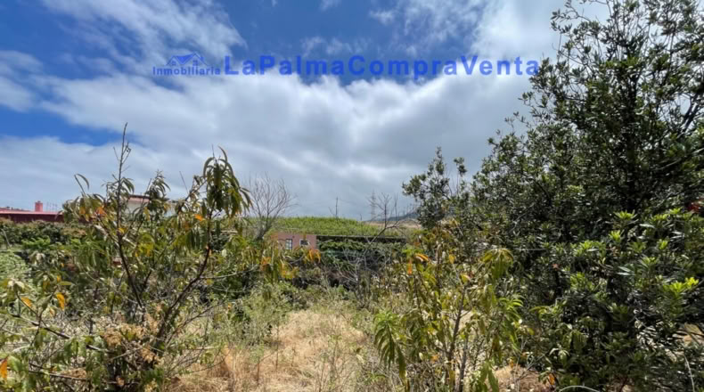 Santa Cruz de Tenerife - Santa Cruz de la Palma - 4863m2