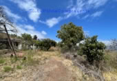 Terreny no urbanitzable en venda a Santa Cruz de La Palma ref.: TR234863 foto