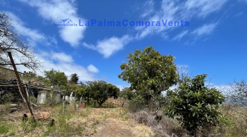Santa Cruz de Tenerife - Santa Cruz de la Palma - 4863m2