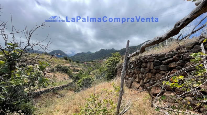 Santa Cruz de Tenerife - Santa Cruz de la Palma - 4863m2