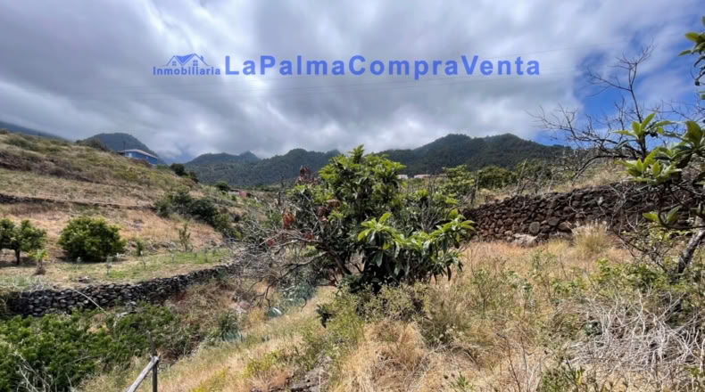 Santa Cruz de Tenerife - Santa Cruz de la Palma - 4863m2