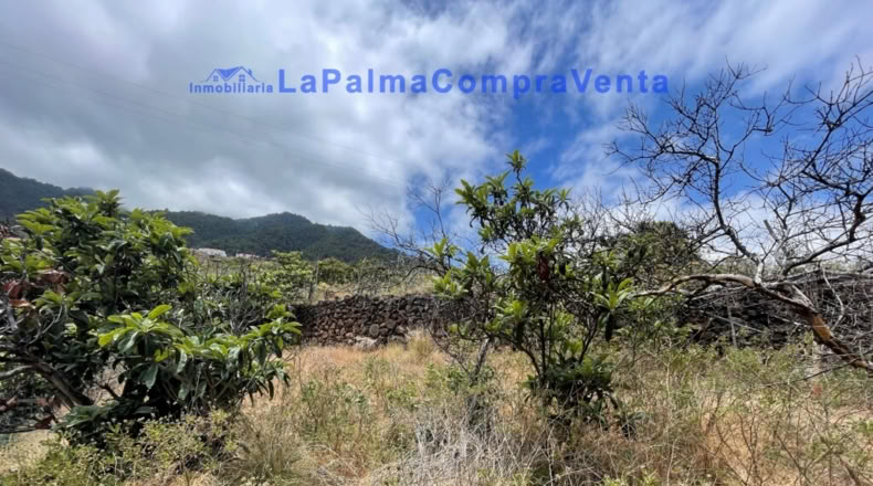 Santa Cruz de Tenerife - Santa Cruz de la Palma - 4863m2