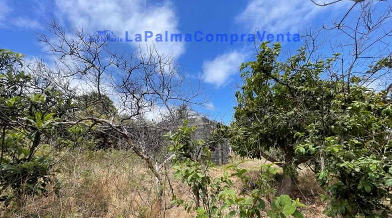 Santa Cruz de Tenerife - Santa Cruz de la Palma - 4863m2