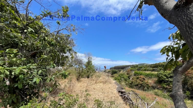 Santa Cruz de Tenerife - Santa Cruz de la Palma - 4863m2