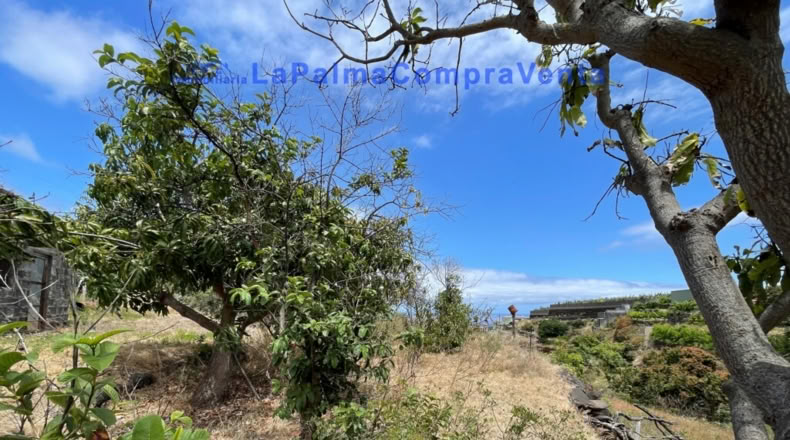 Santa Cruz de Tenerife - Santa Cruz de la Palma - 4863m2