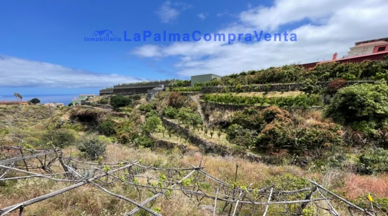 Santa Cruz de Tenerife - Santa Cruz de la Palma - 4863m2