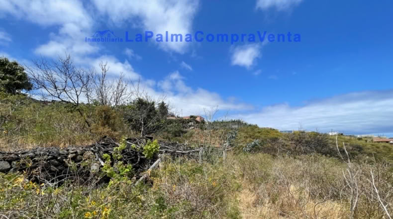 Santa Cruz de Tenerife - Santa Cruz de la Palma - 4863m2