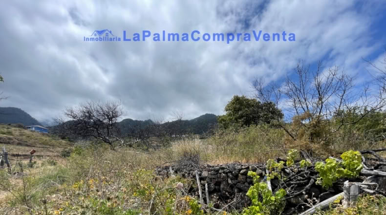 Santa Cruz de Tenerife - Santa Cruz de la Palma - 4863m2