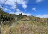 Terreny no urbanitzable en venda a Santa Cruz de La Palma ref.: TR234863 foto