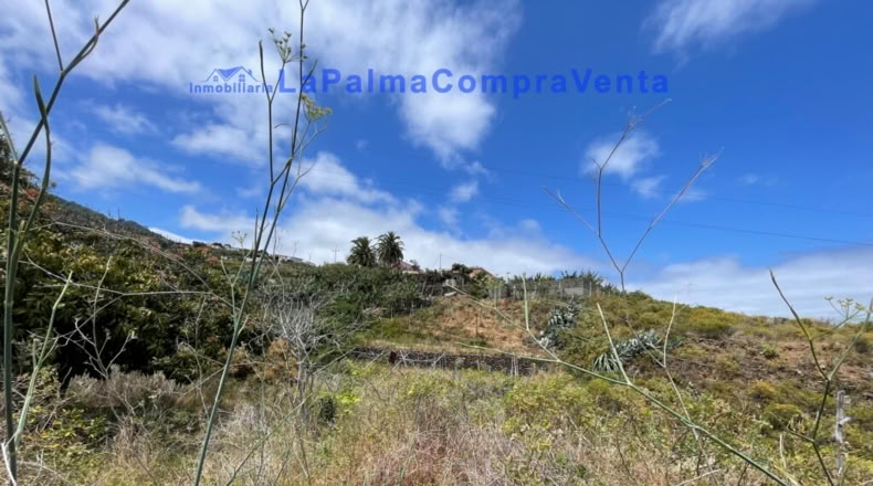 Santa Cruz de Tenerife - Santa Cruz de la Palma - 4863m2