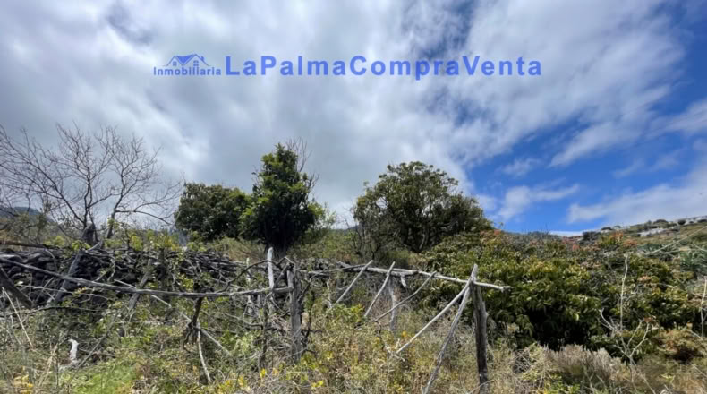 Santa Cruz de Tenerife - Santa Cruz de la Palma - 4863m2