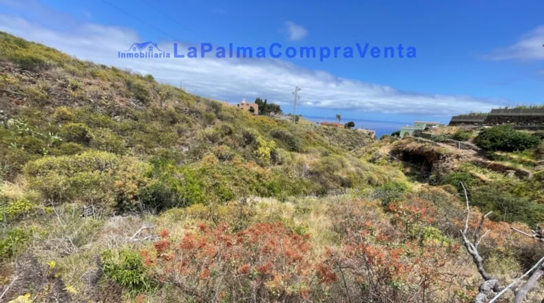 Santa Cruz de Tenerife - Santa Cruz de la Palma - 4863m2