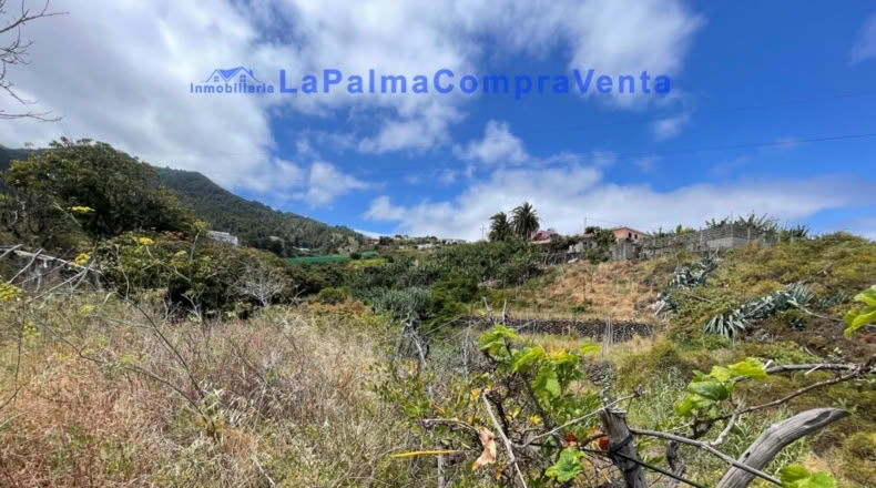 Santa Cruz de Tenerife - Santa Cruz de la Palma - 4863m2