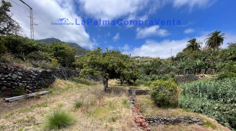 Santa Cruz de Tenerife - Santa Cruz de la Palma - 4863m2
