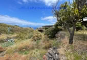 Terreny no urbanitzable en venda a Santa Cruz de La Palma ref.: TR234863 foto